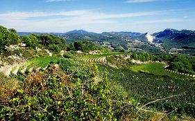 Le Belvedere