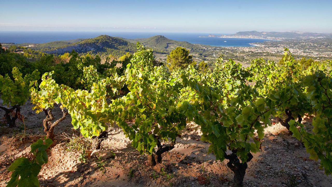 Le Belvedere Bandol Exterior foto